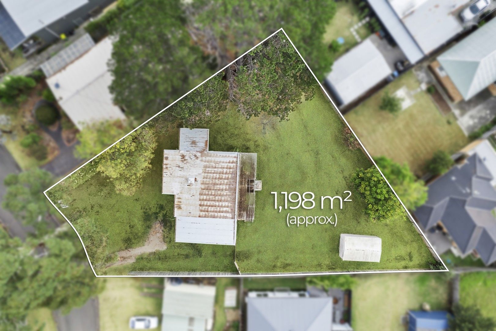 4 Coleus Street, Dromana VIC 3936, Image 2