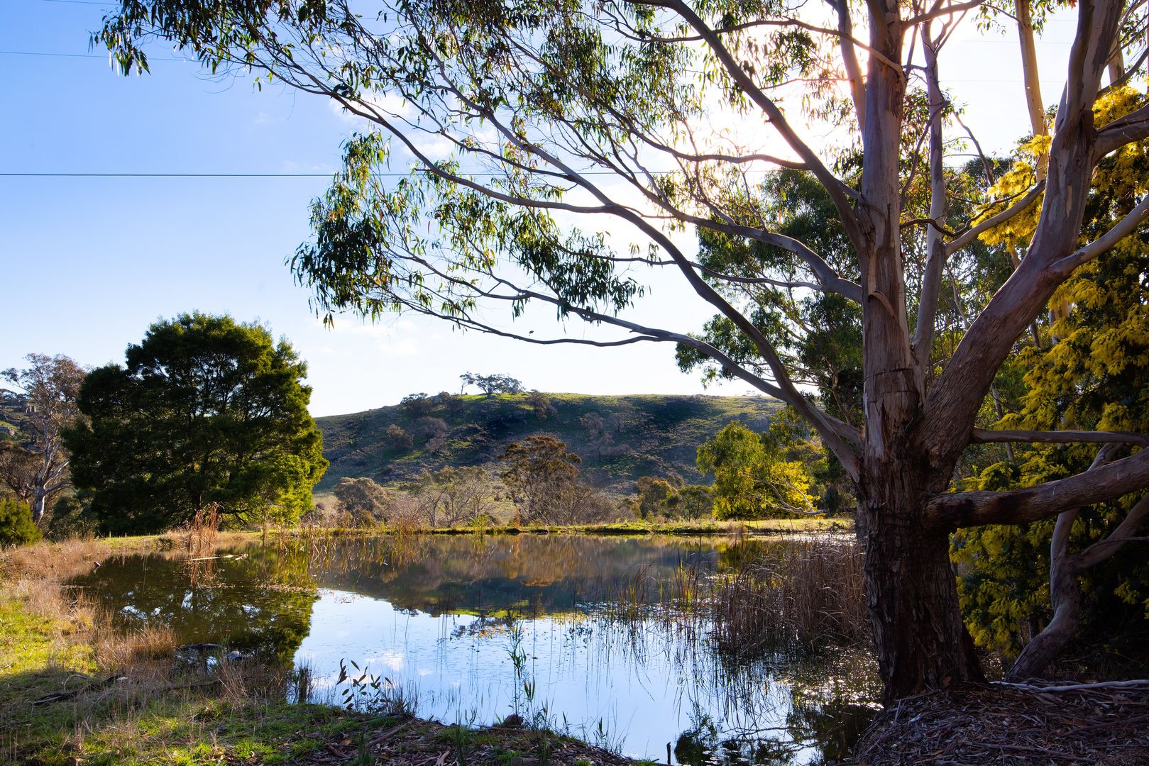 406 North Harcourt Road, Harcourt North VIC 3453, Image 2