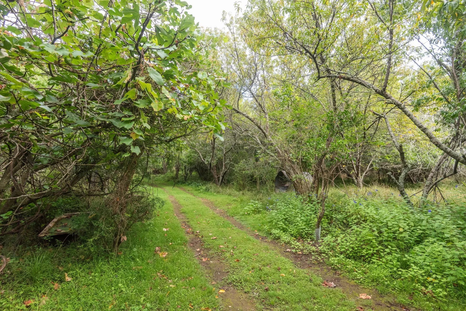 Additional image 10 of 2600 Araluen Road, Deua River Valley NSW 2537