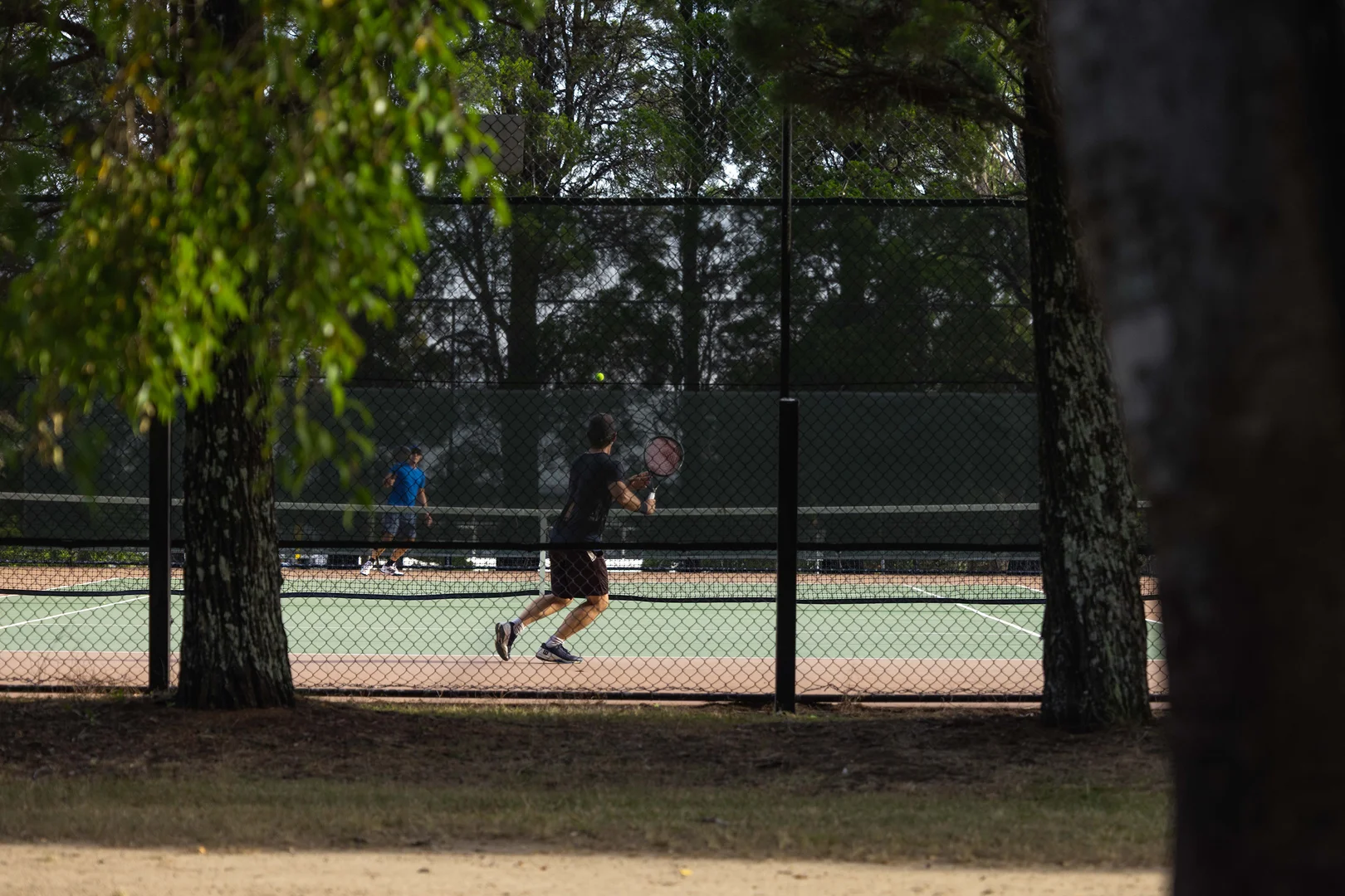 Additional image 10 of 3/35 Shottery Street, Yeronga QLD 4104