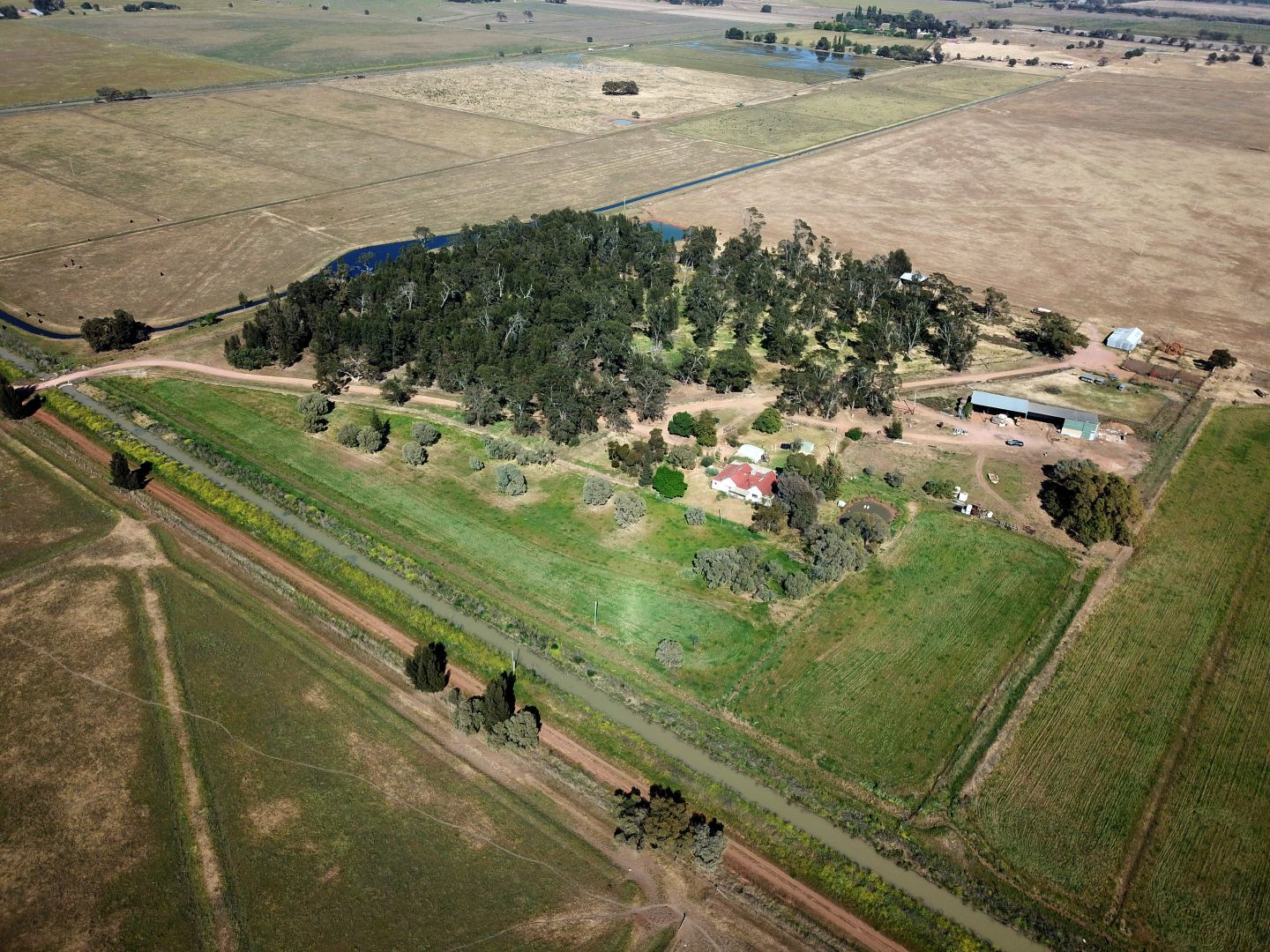 221 Johnson Road, Murrami NSW 2705, Image 1