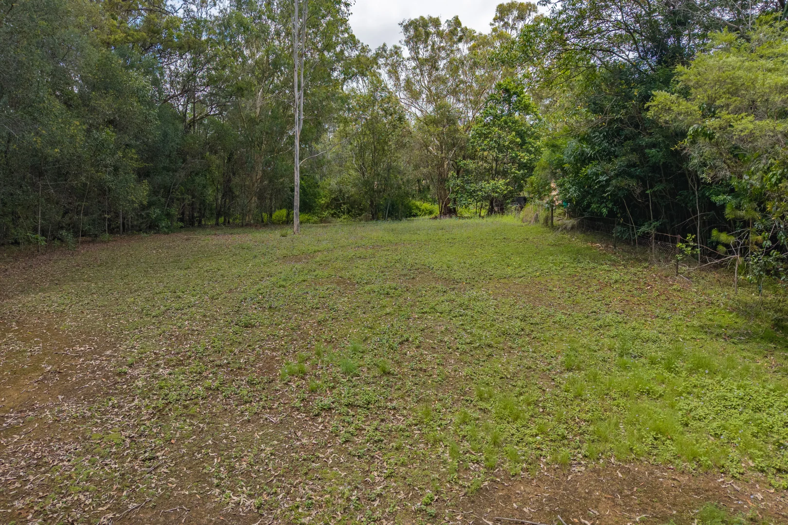 Image 25