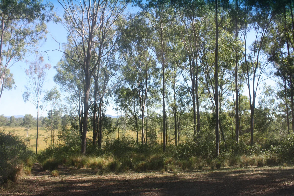 Image 17