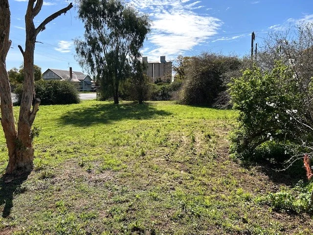 Image 19