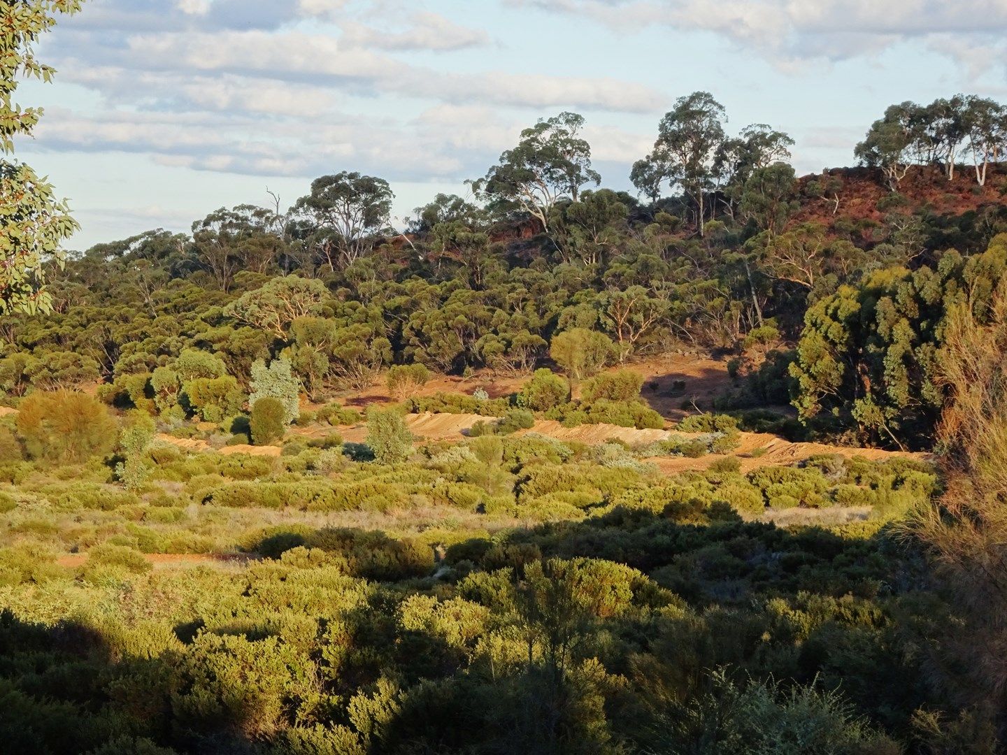 Lot 8335 Brookton Highway, Brookton WA 6306, Image 0