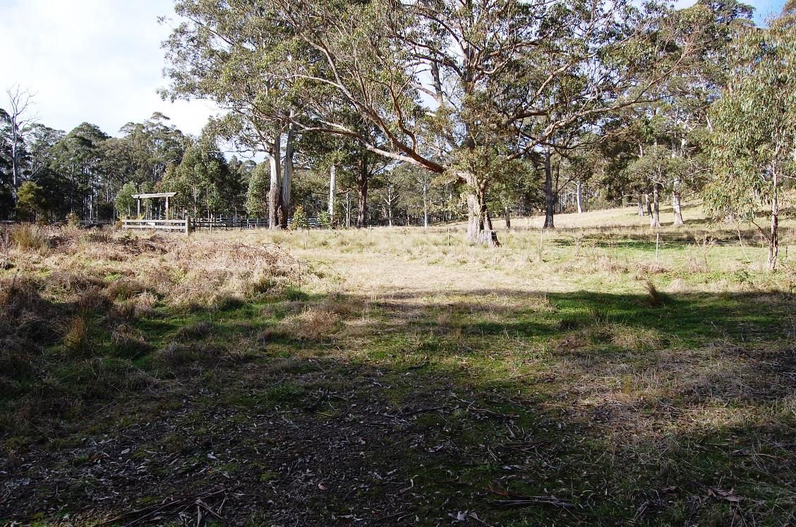 Cunnawarra Trail, Ebor NSW 2453, Image 1