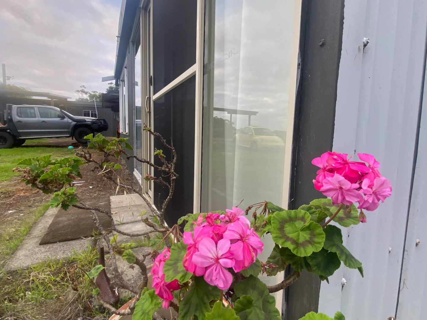 Image 12