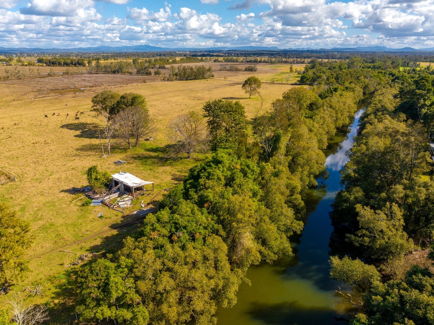 81 Moto Road, Ghinni Ghinni NSW 2430, Image 0