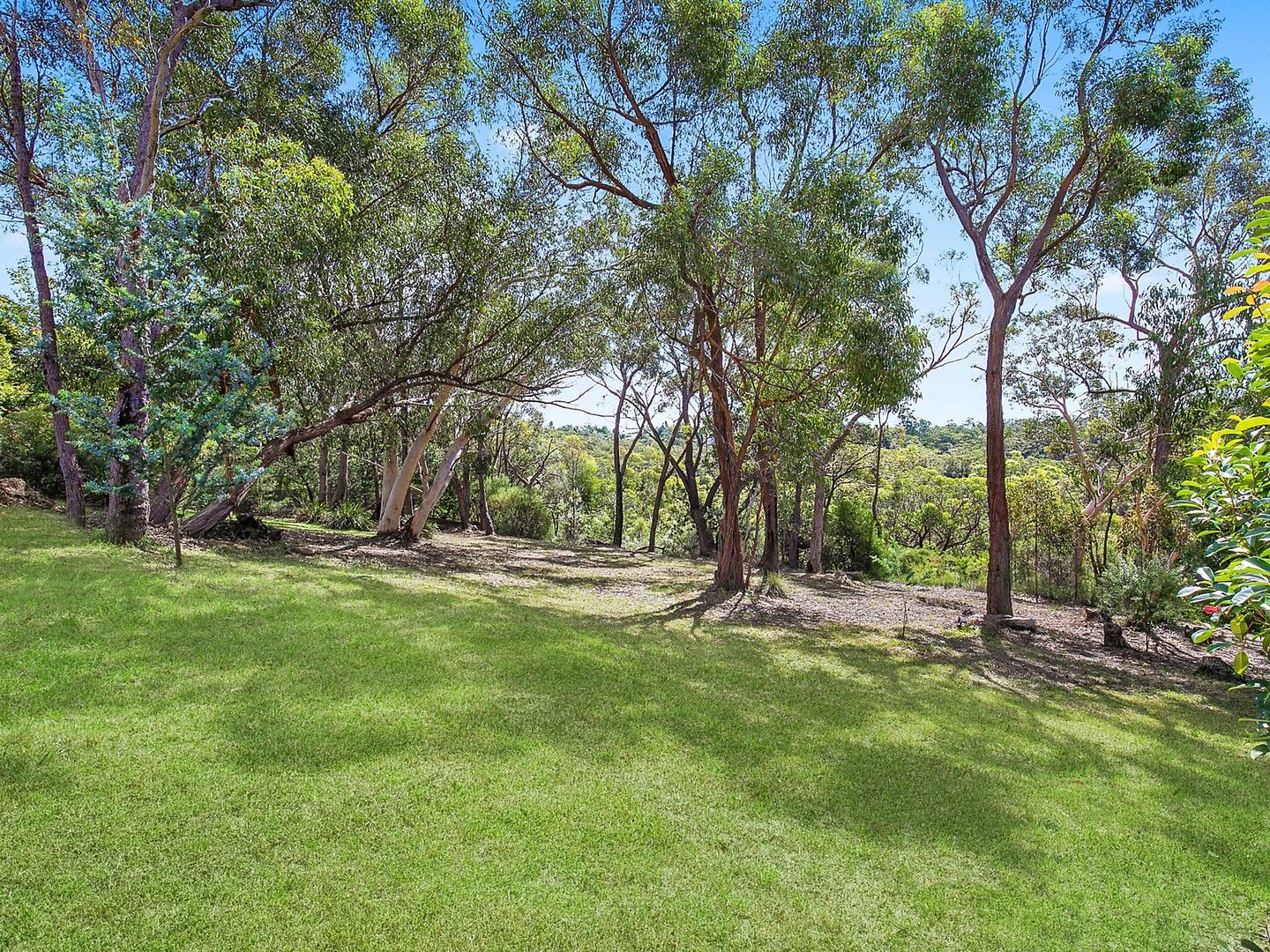 29 Lysiana Road, Woodford NSW 2778, Image 0