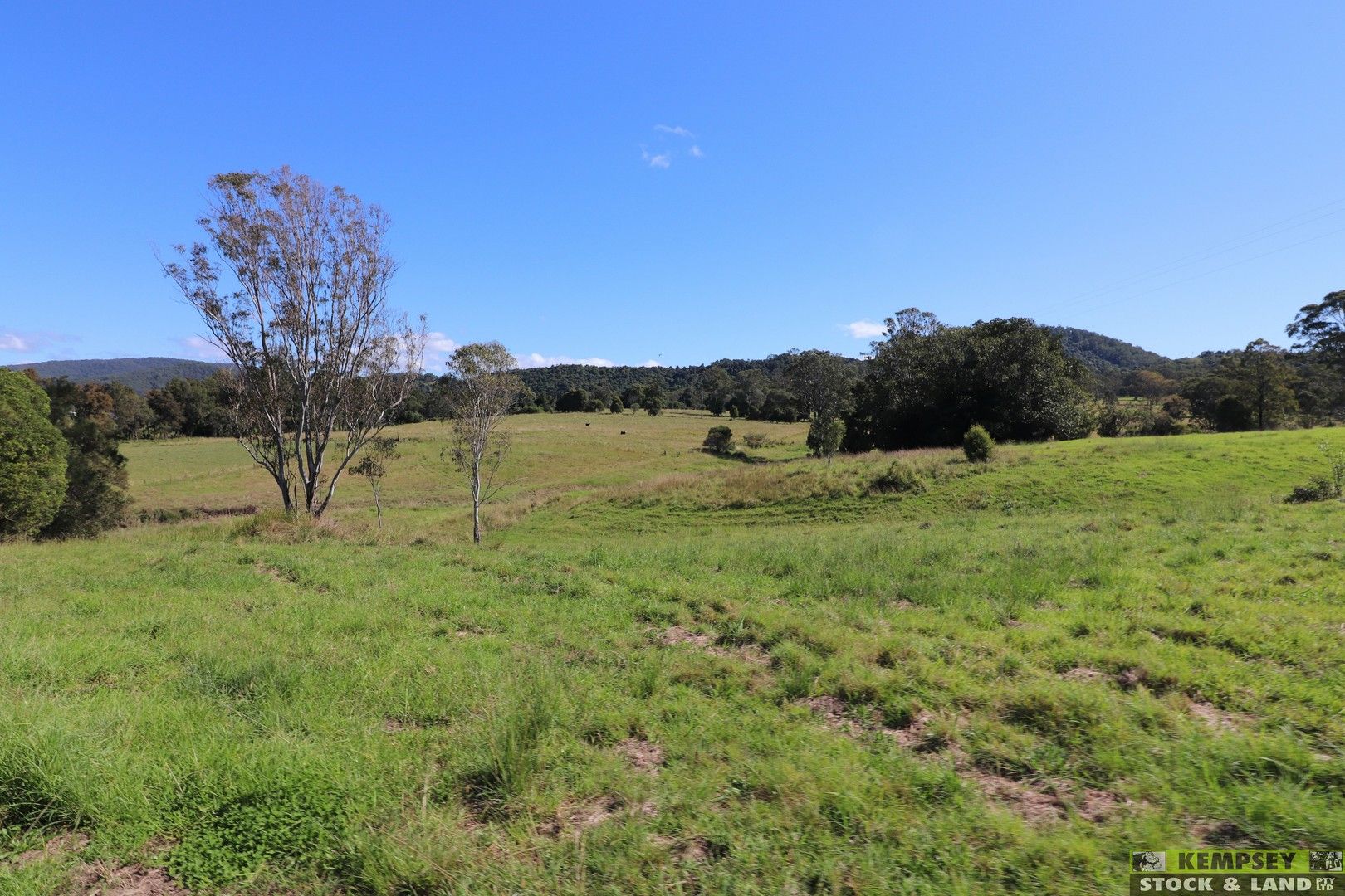 1003 Gowings Hill Rd, Dondingalong NSW 2440, Image 0