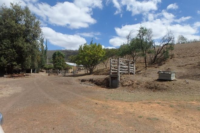 Picture of 540 SCHOLZ ROAD, MOUNT ADRAH NSW 2722