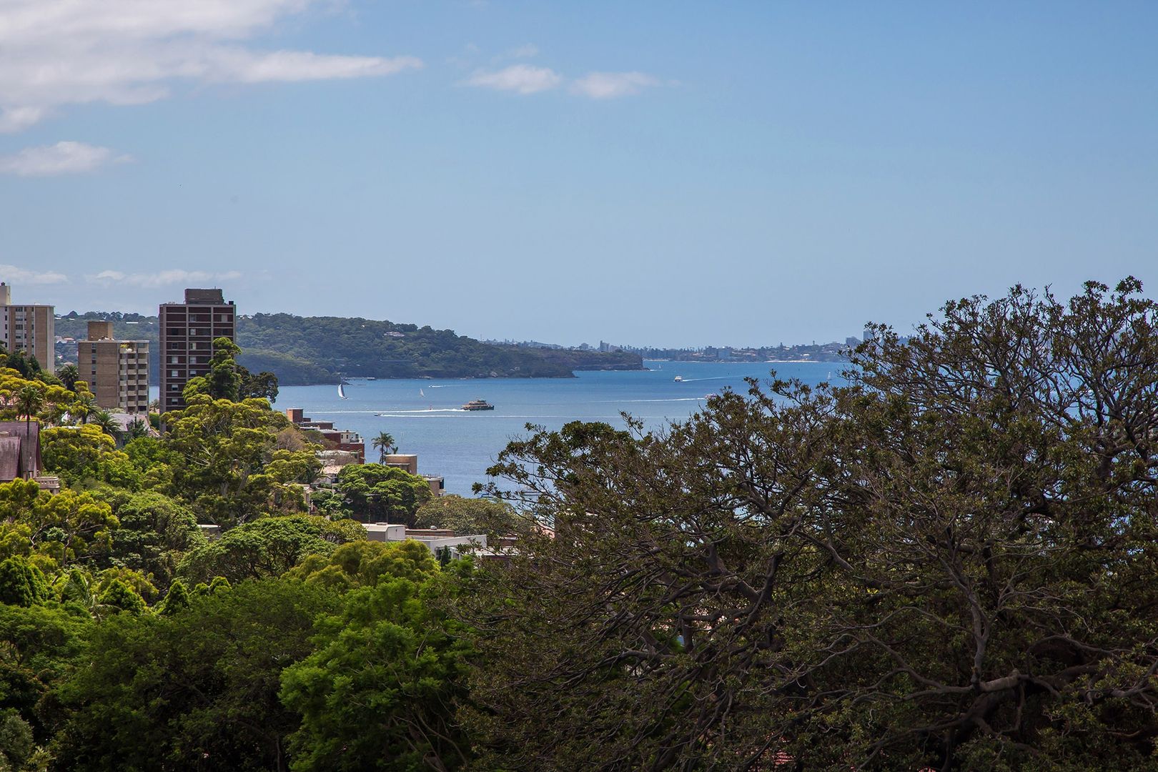 1105/180 Ocean Street, Edgecliff NSW 2027, Image 1