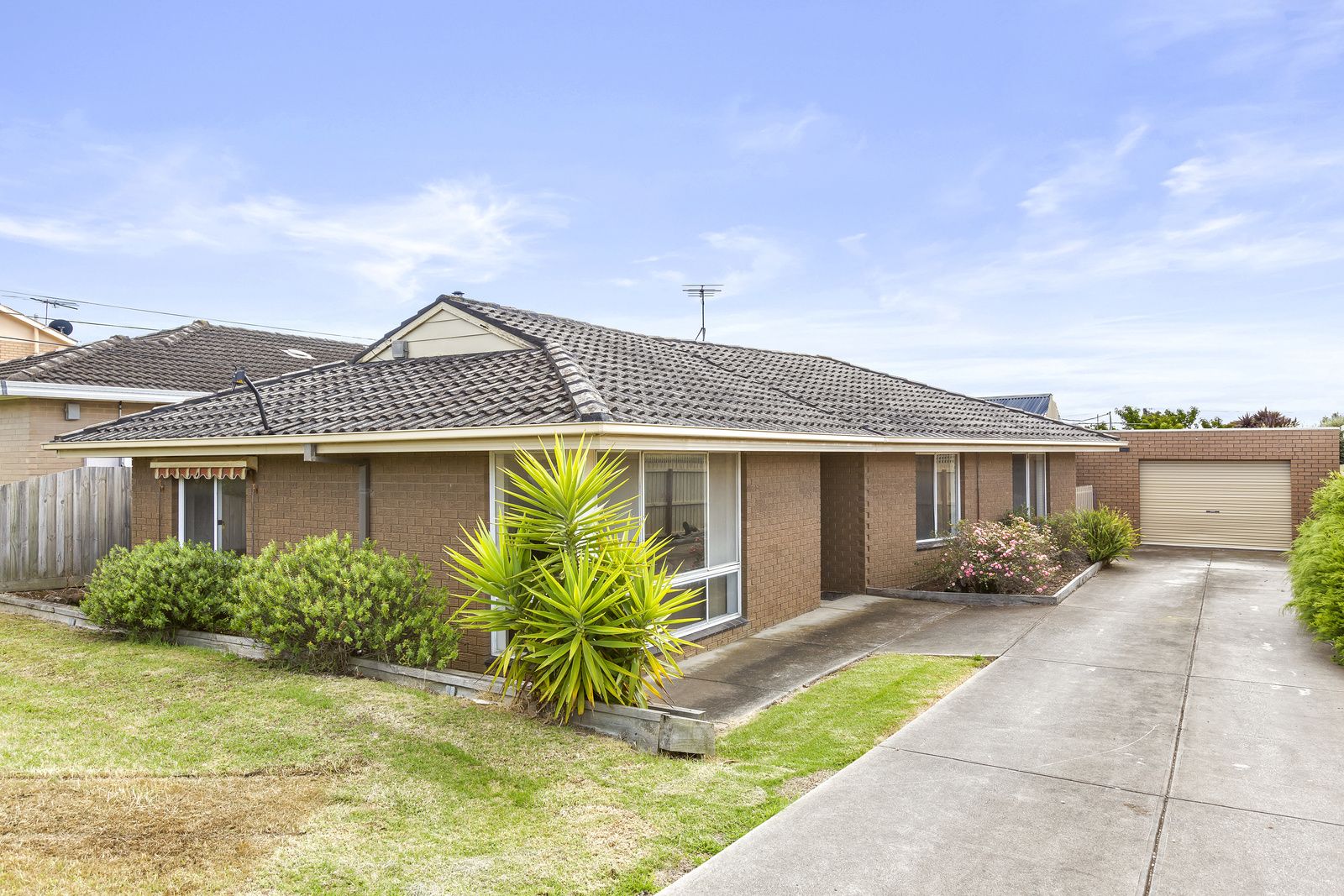 35 Graylea Avenue, Herne Hill VIC 3218, Image 0