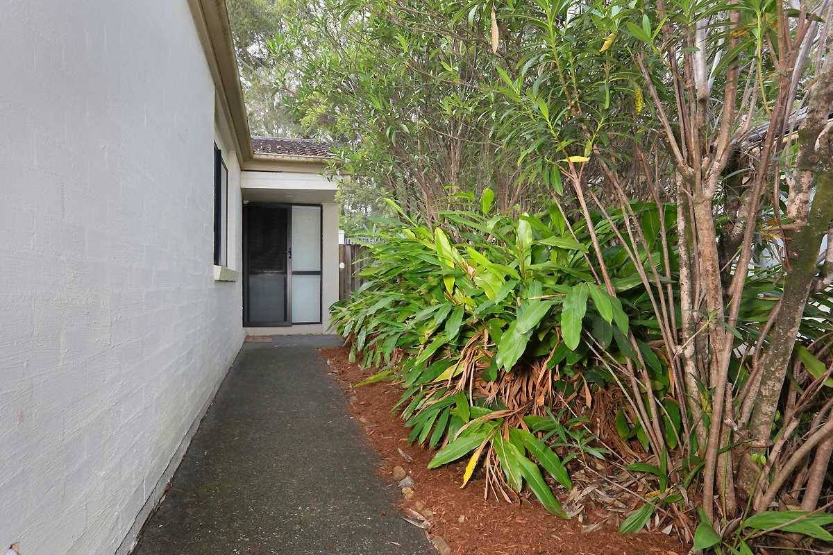 Image 19