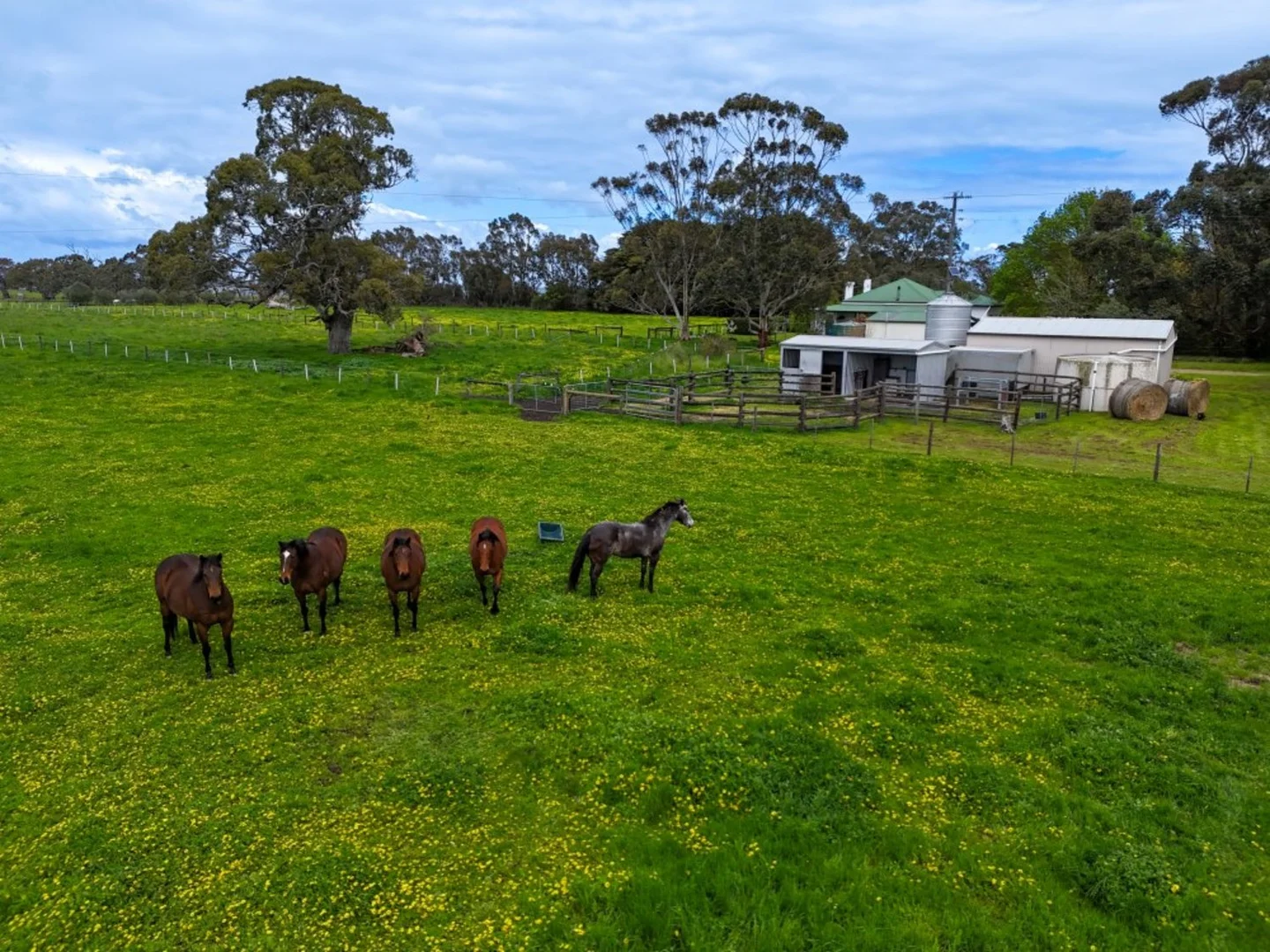Additional image 25 of 66 Casterton-Edenhope Road, Casterton VIC 3311
