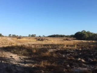 Image 14
