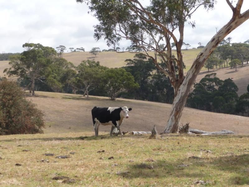 Lot 1 and 2 Back Valley Road, INMAN VALLEY SA 5211, Image 0