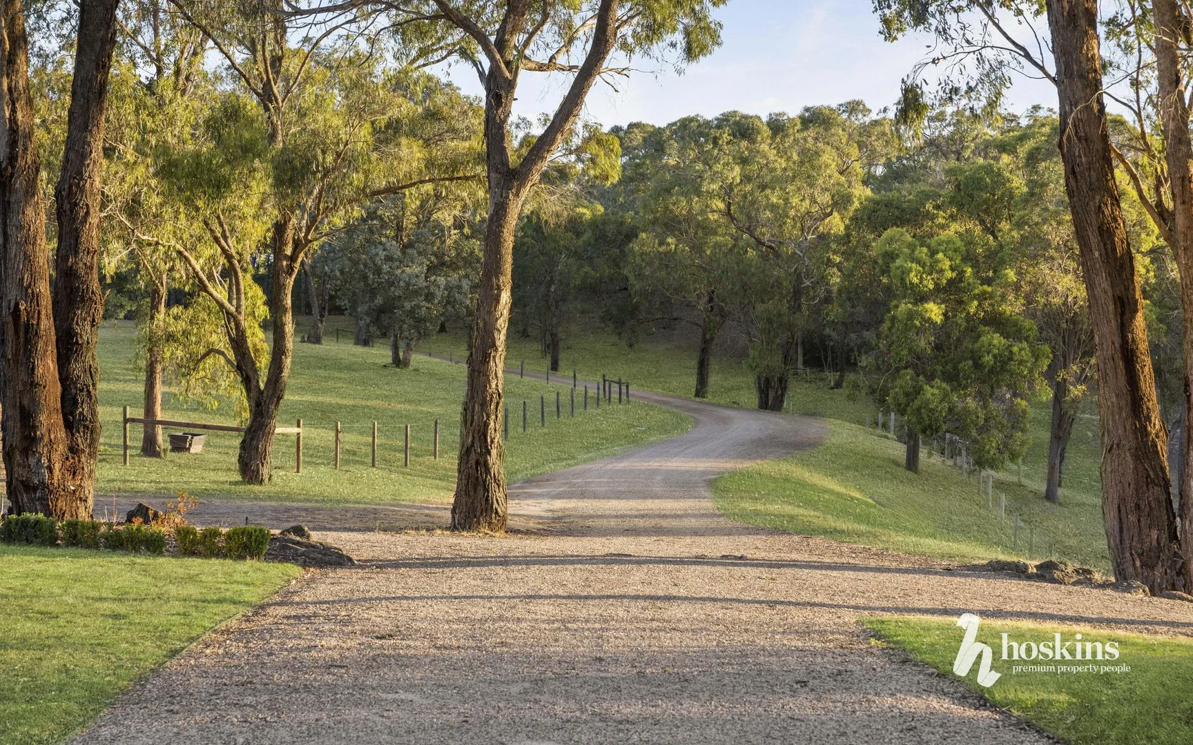 Image 40