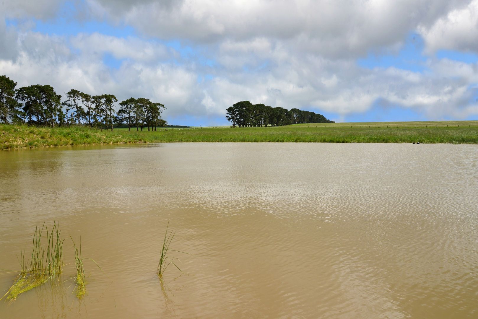 165 Collyers Road, Warncoort VIC 3243, Image 1