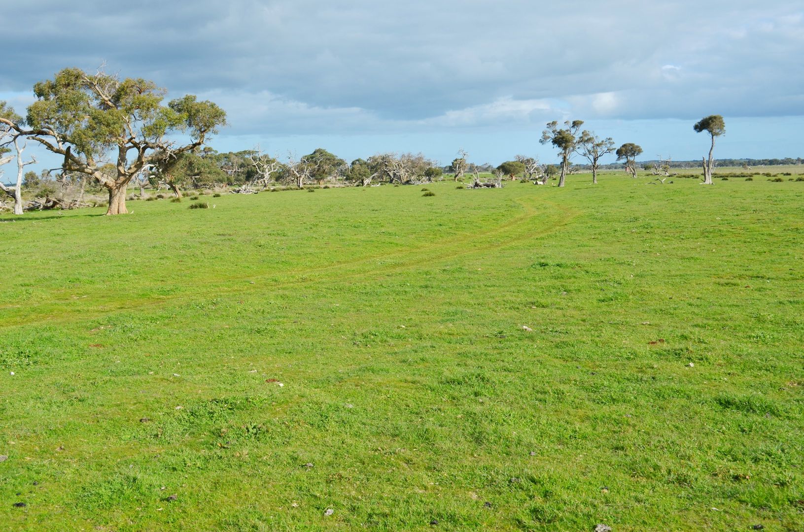 Lot 28 Clay Wells Road, Robe SA 5276, Image 1