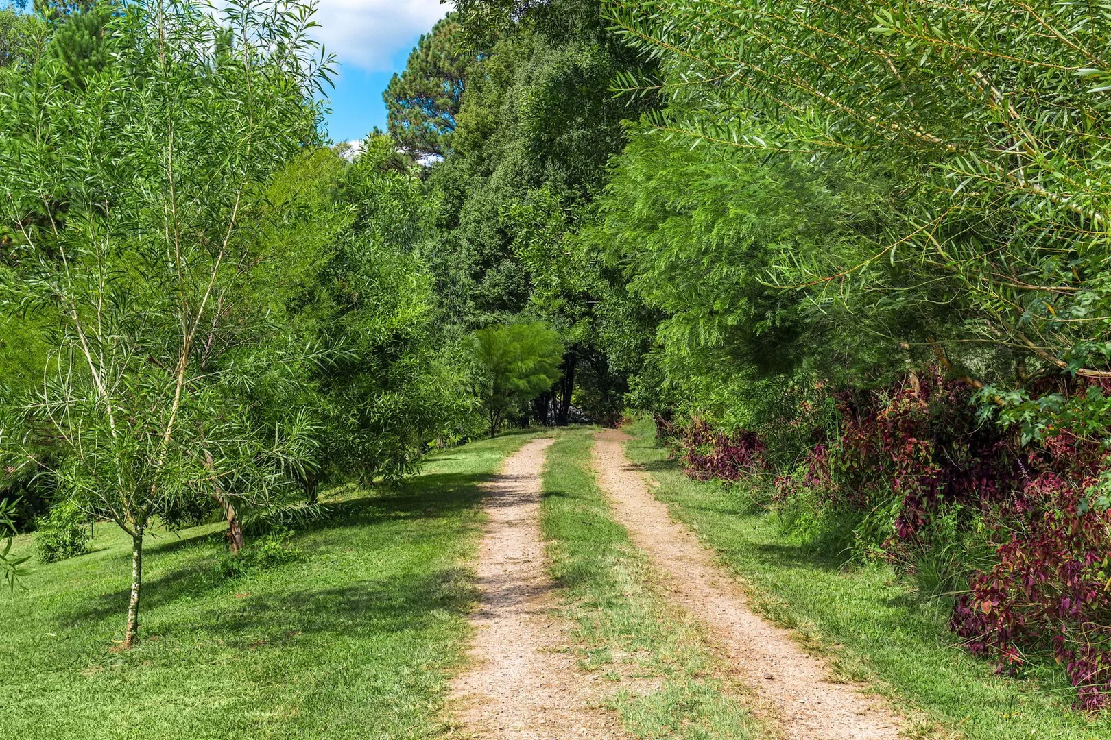 Additional image 19 of 20 Pine Mountain Road, Possum Creek NSW 2479