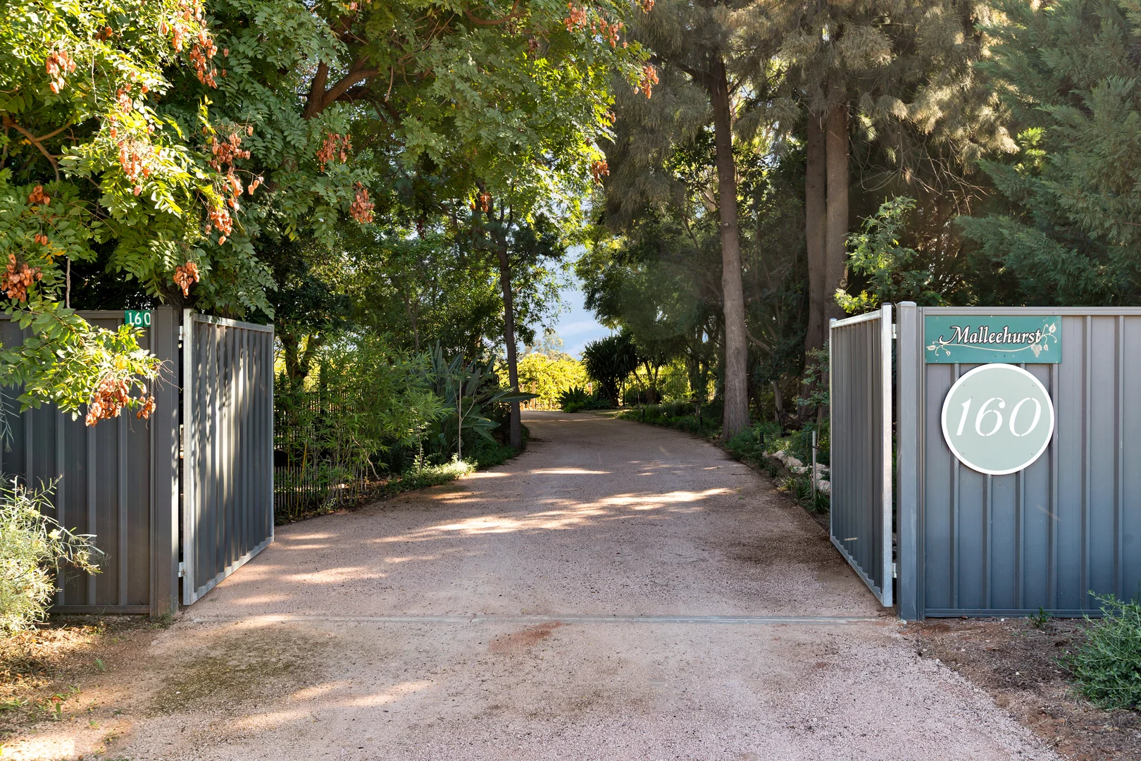 Additional image 3 of 160 Nursery Ridge Road, Red Cliffs VIC 3496