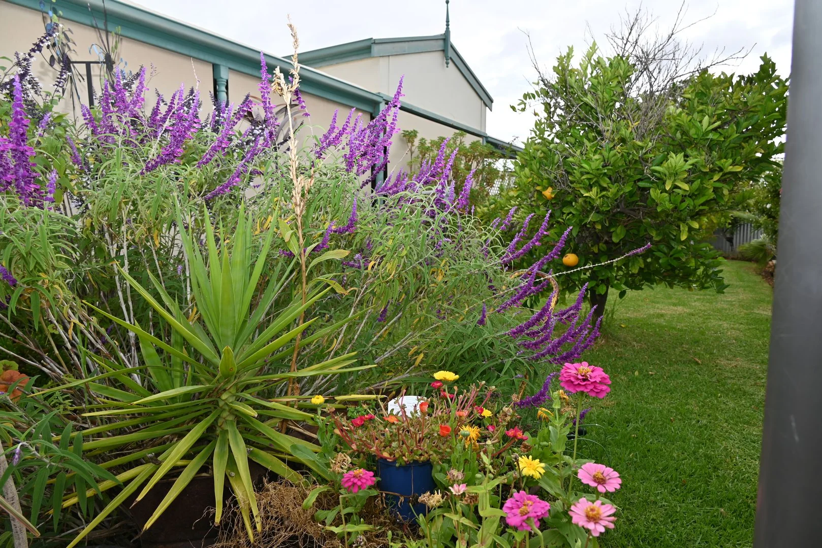 Additional image 8 of 6 Gouge Street, Morgan SA 5320