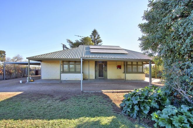 Picture of 618 Chowilla St, RENMARK SA 5341