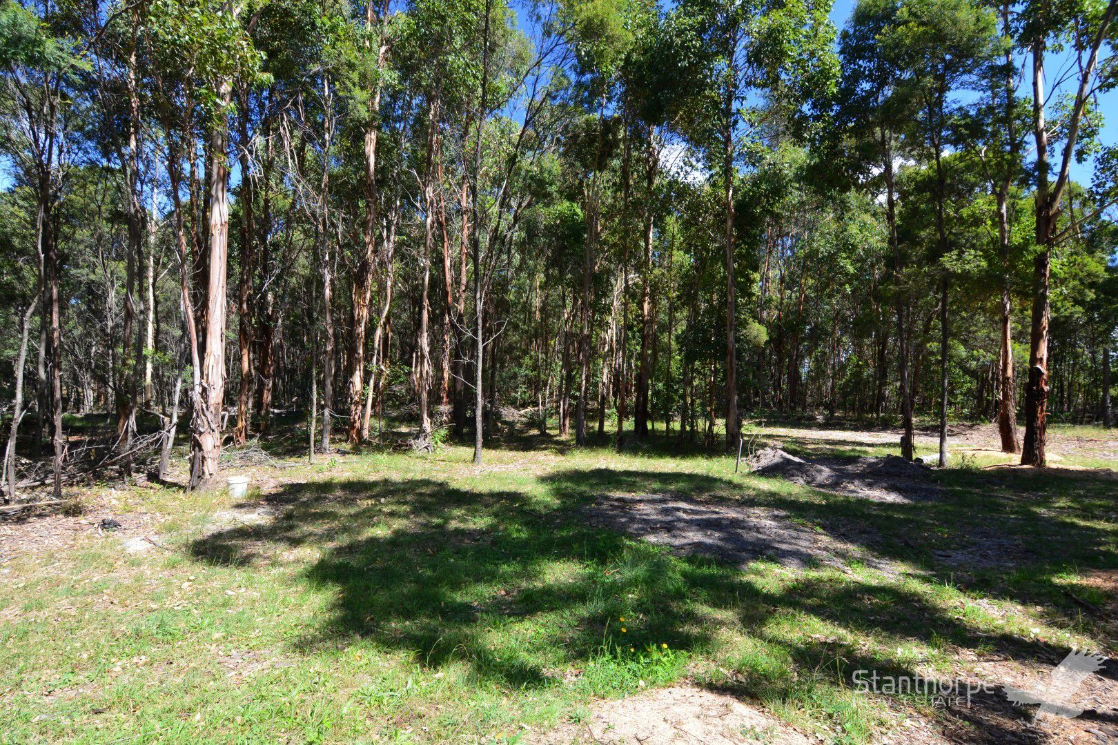 215 Sunrise Road, Sugarloaf QLD 4380, Image 2