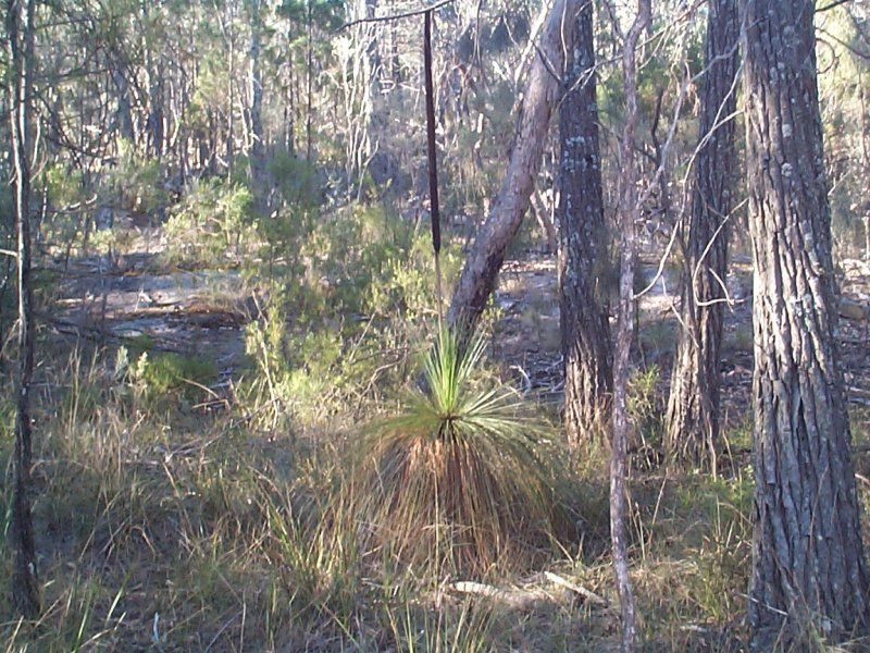 1008 Nundubbermere Road, Nundubbermere QLD 4380, Image 1