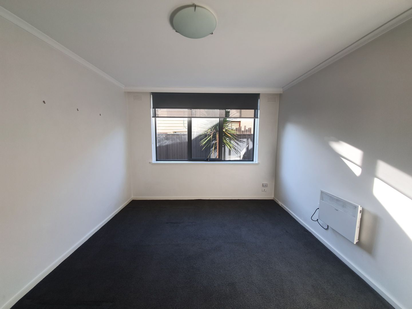 3/142 Spensley Street, Clifton Hill VIC 3068 Apartment For Rent Domain