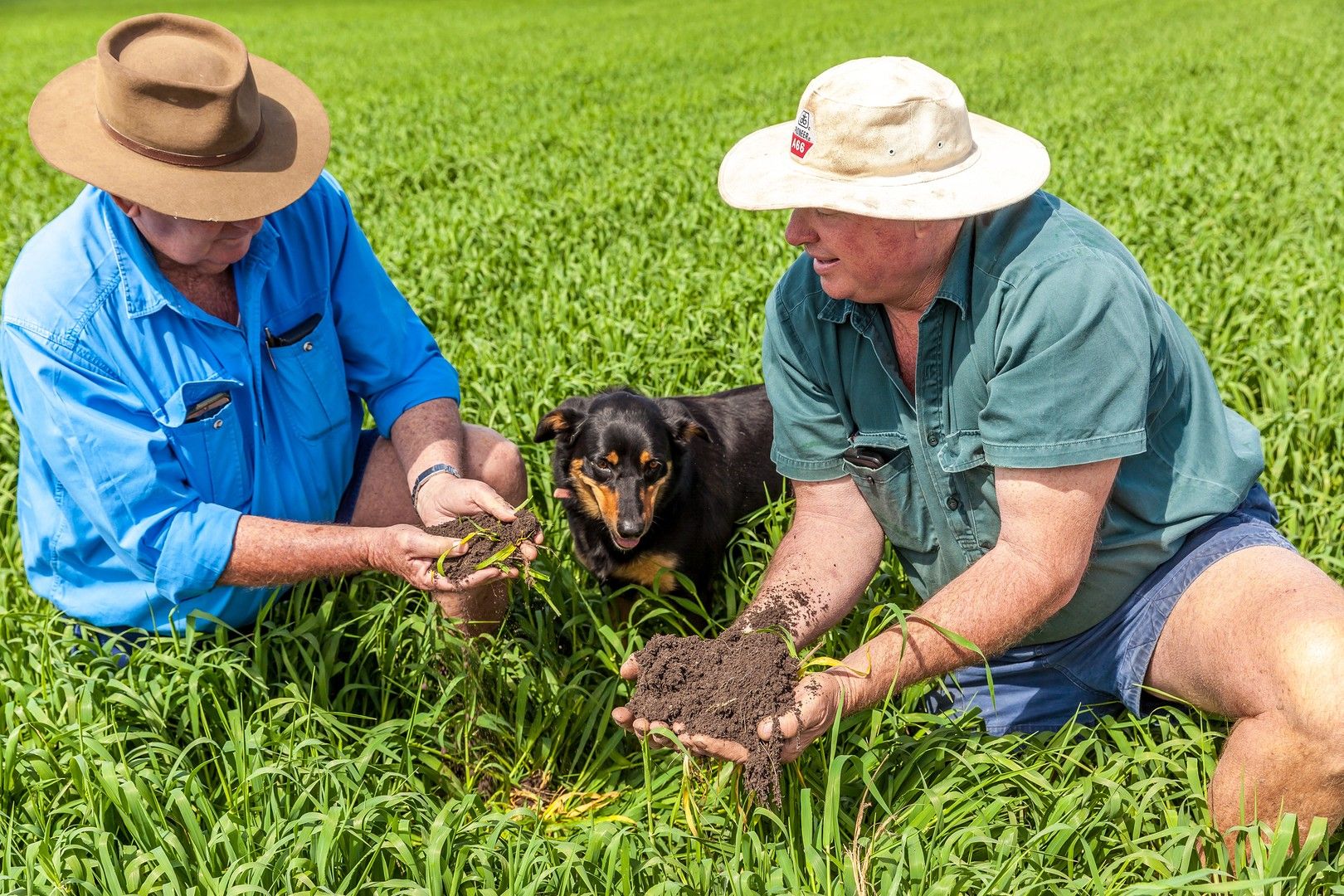 Jimbour Plain Farming Aggregation, Jimbour East QLD 4406, Image 0