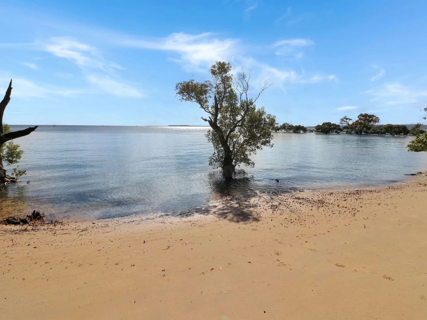 Image 15
