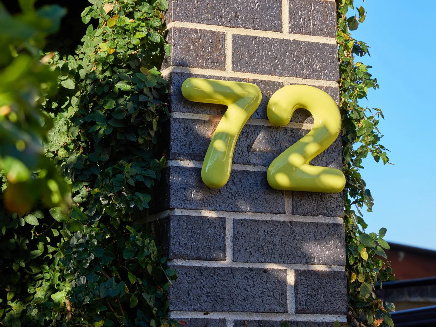 Image 20