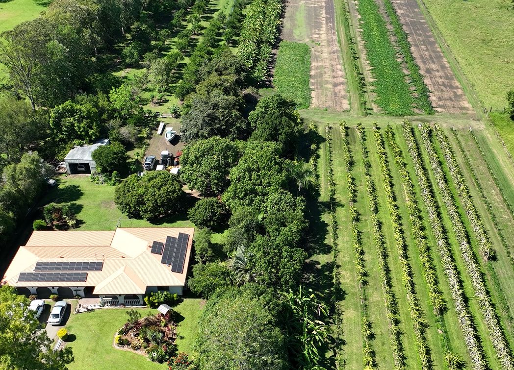 Pleystowe QLD 4741 House for Sale Domain