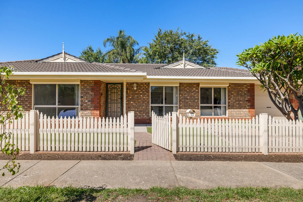 Image 16
