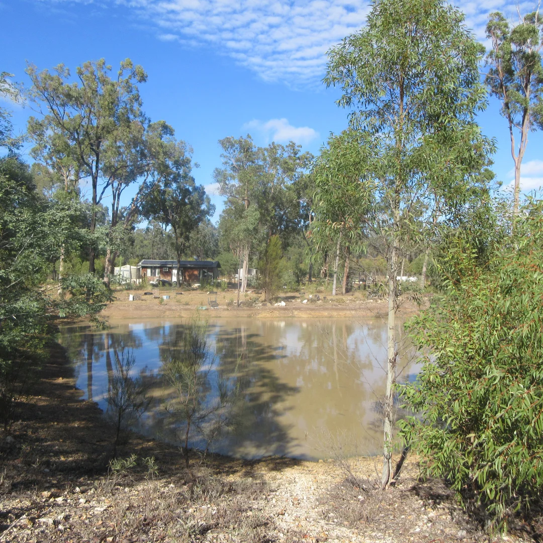 Image 9