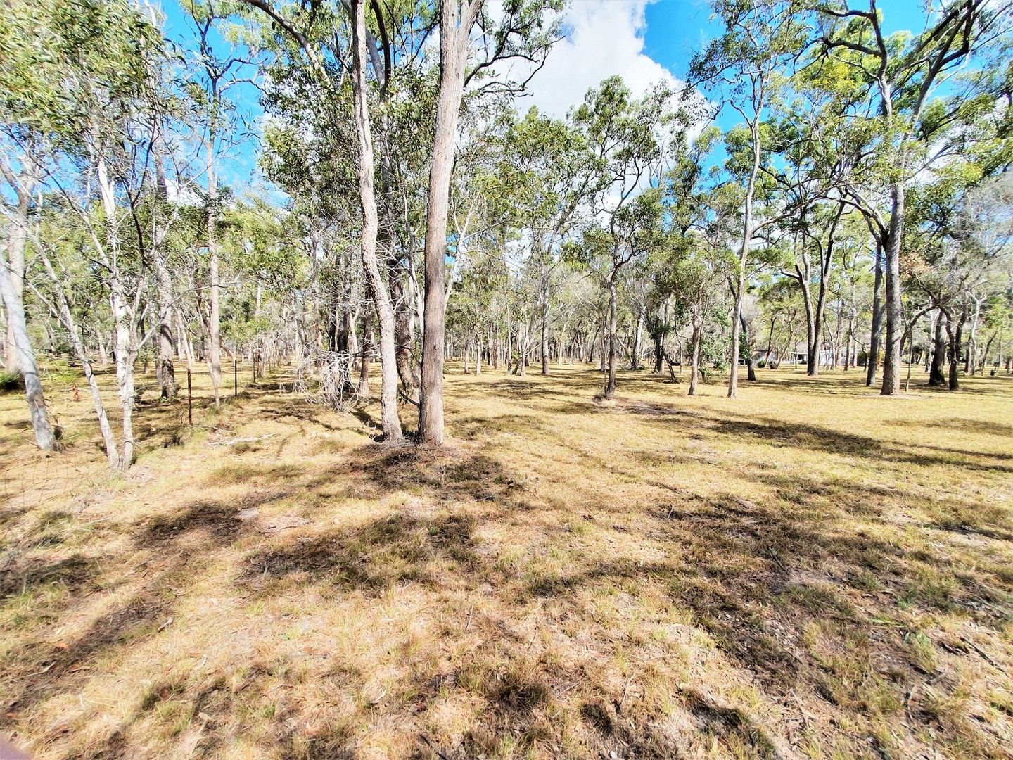 Vacant land in 101 PACIFIC HAVEN CIRCUIT, PACIFIC HAVEN QLD, 4659