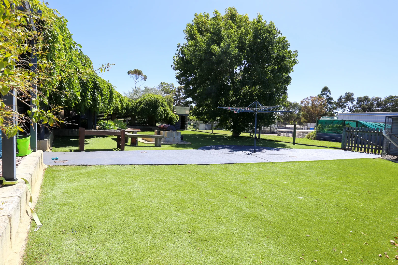 Image 20