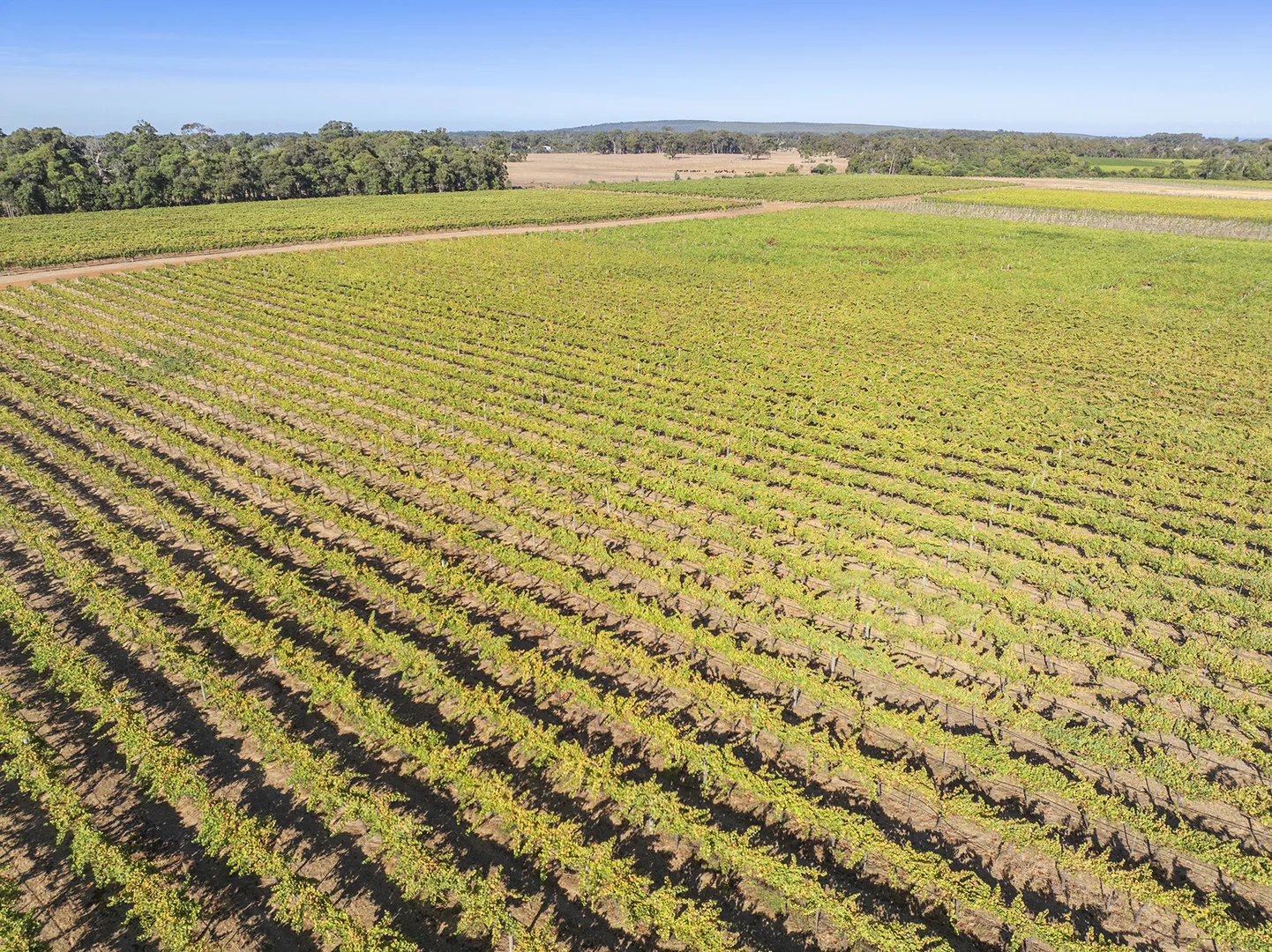 Additional image 5 of Lot 32, 33 & 34/241 Clews Road, Cowaramup WA 6284