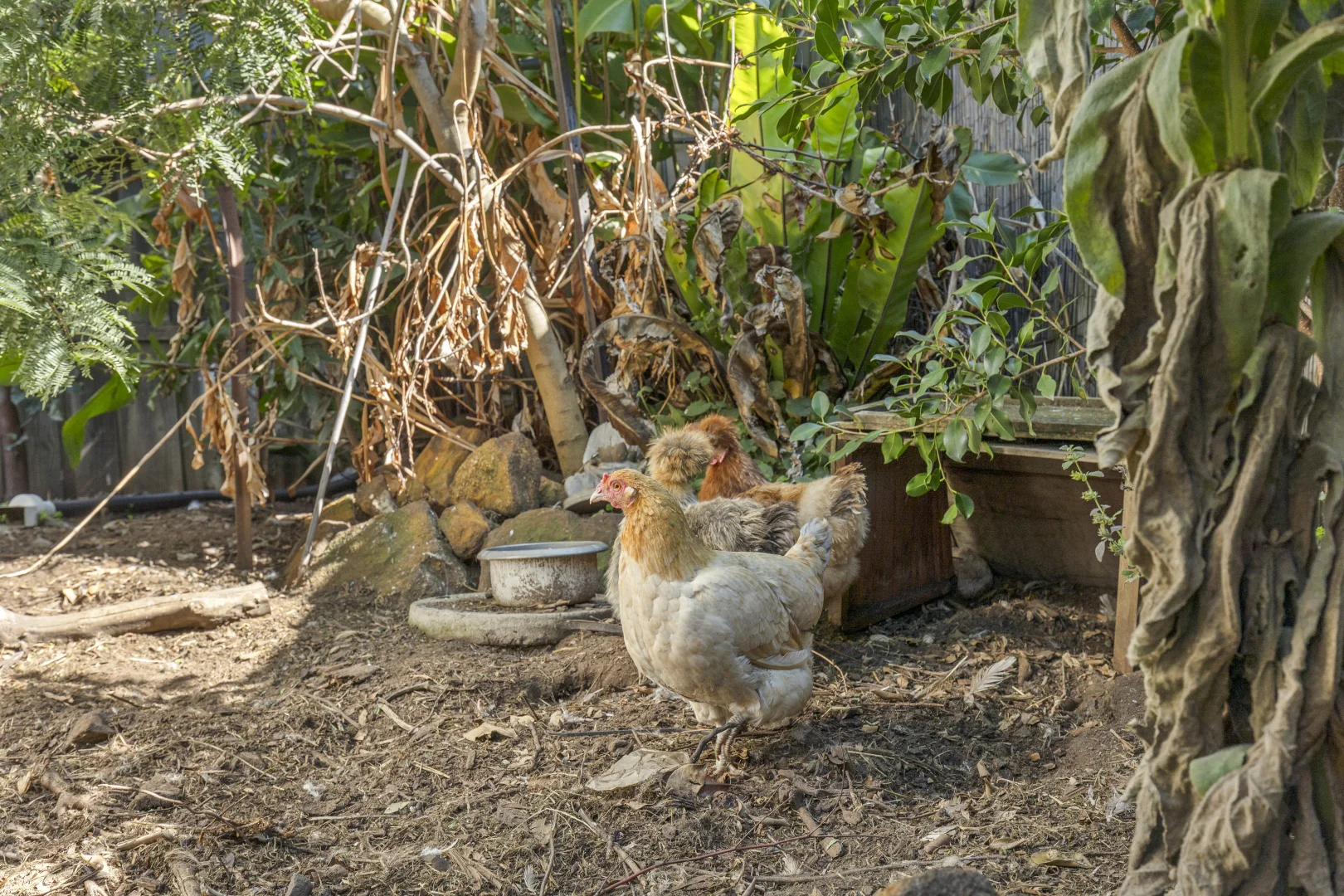 Additional image 12 of 25 Olney Avenue, Thomson VIC 3219