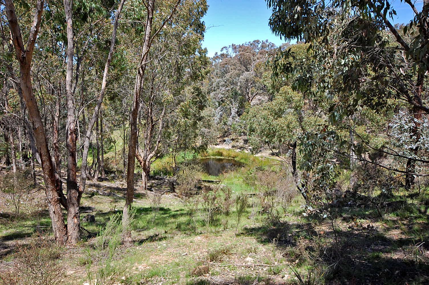 80 Sawpit Gully Road, Mount Franklin VIC 3461, Image 1