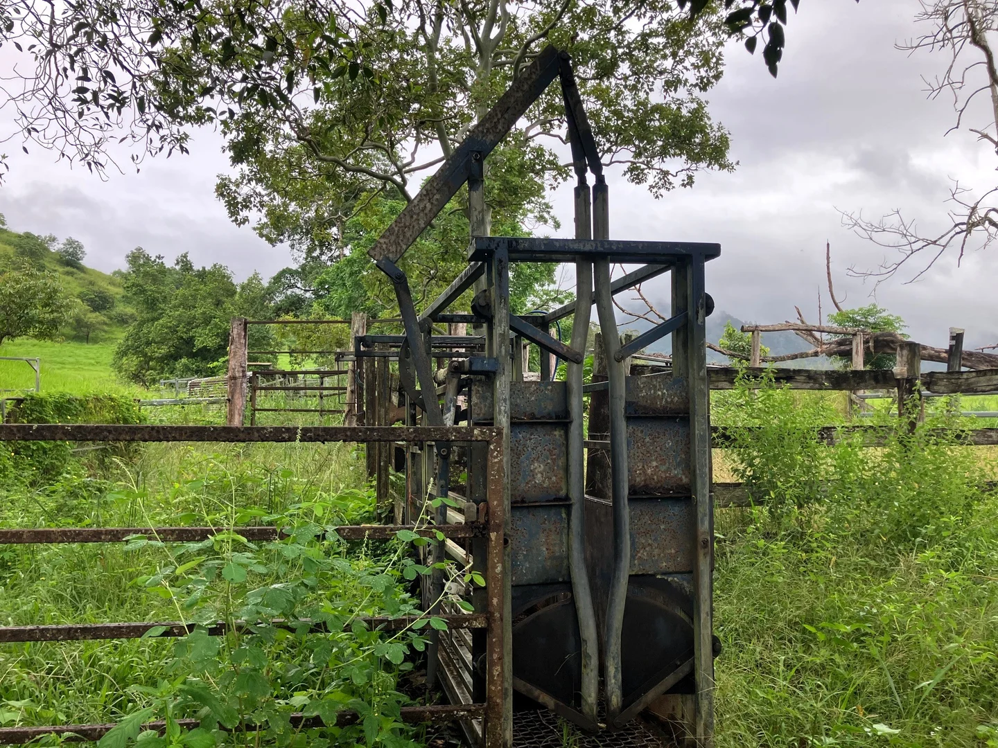 Additional image 20 of Gorge Road, Finch Hatton QLD 4756