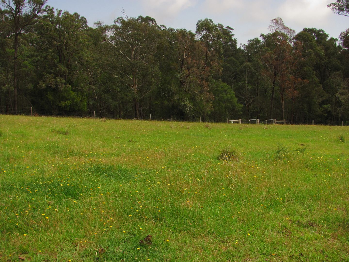 Lot 2, 375 Wamban Road, Moruya NSW 2537, Image 2