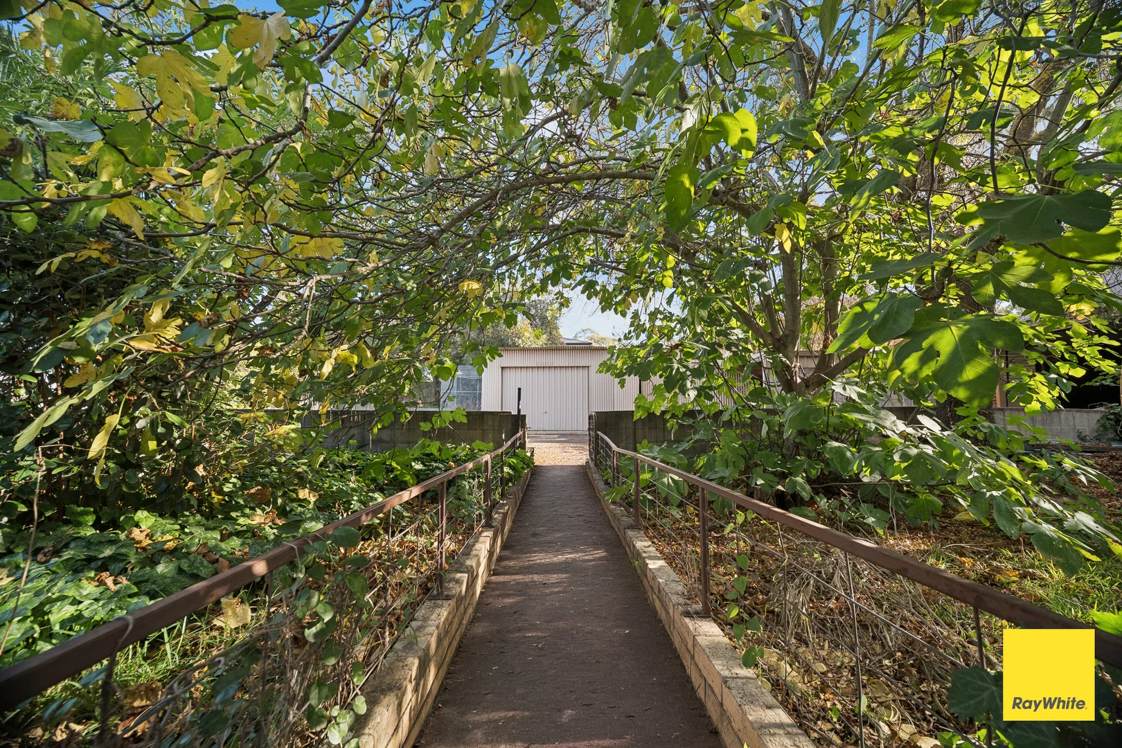 Image 18