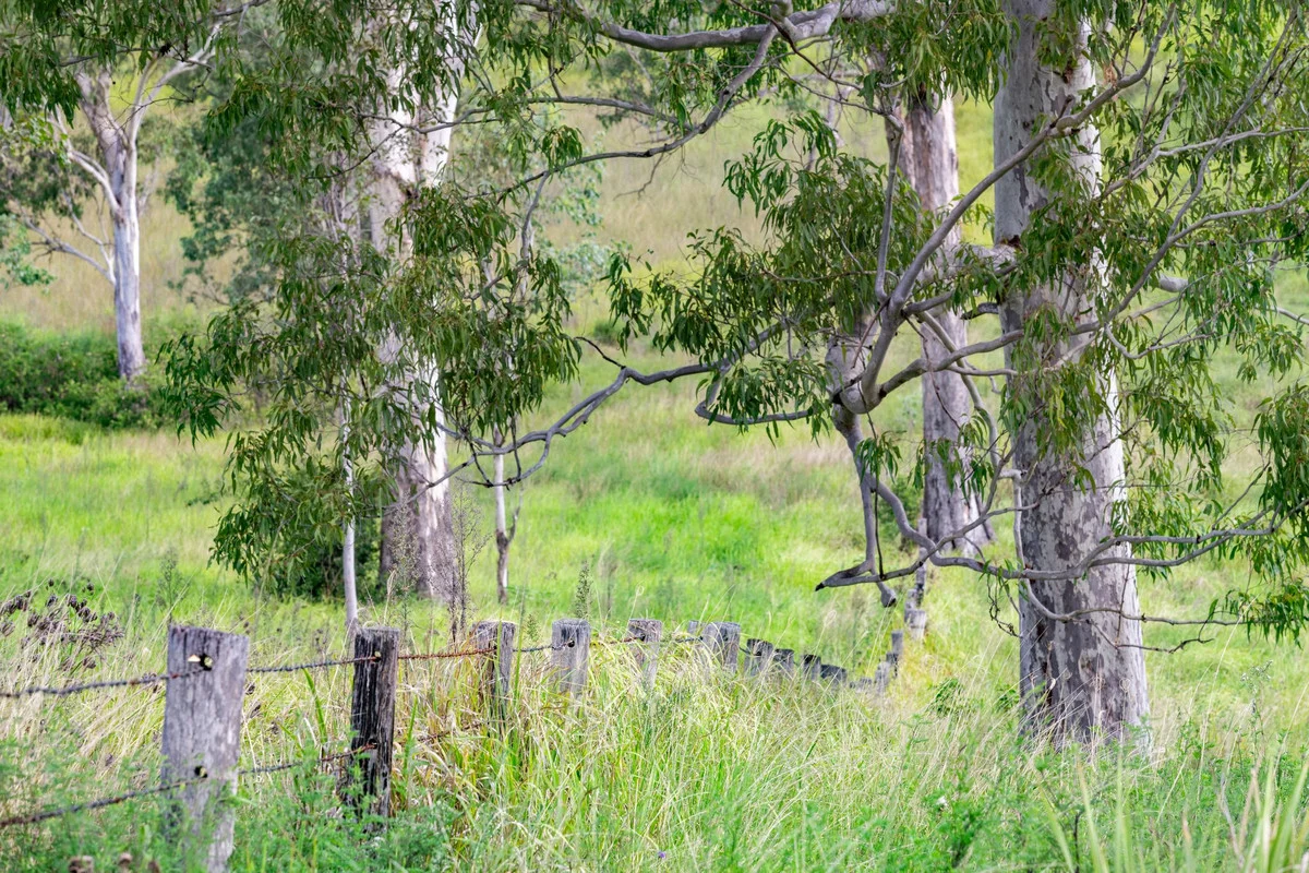 Additional image 8 of 760 Old Dyraaba Road, Woodview NSW 2470