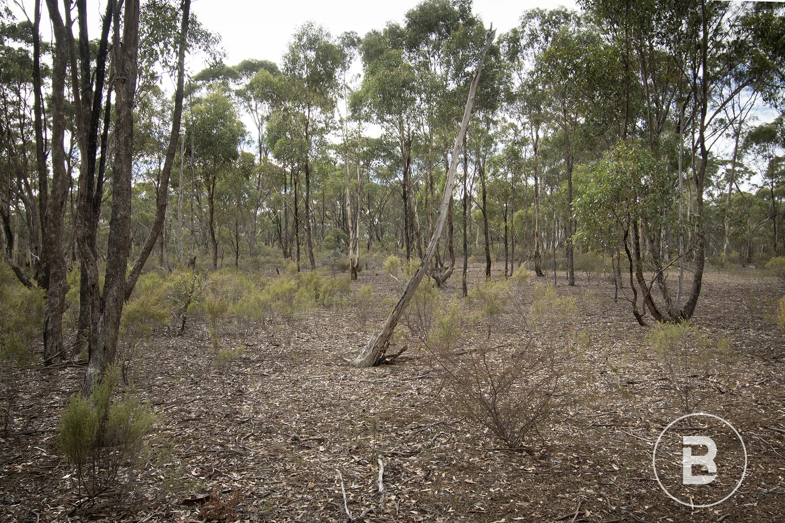 Additional image 5 of 16A/557 Majorca Road, Maryborough VIC 3465