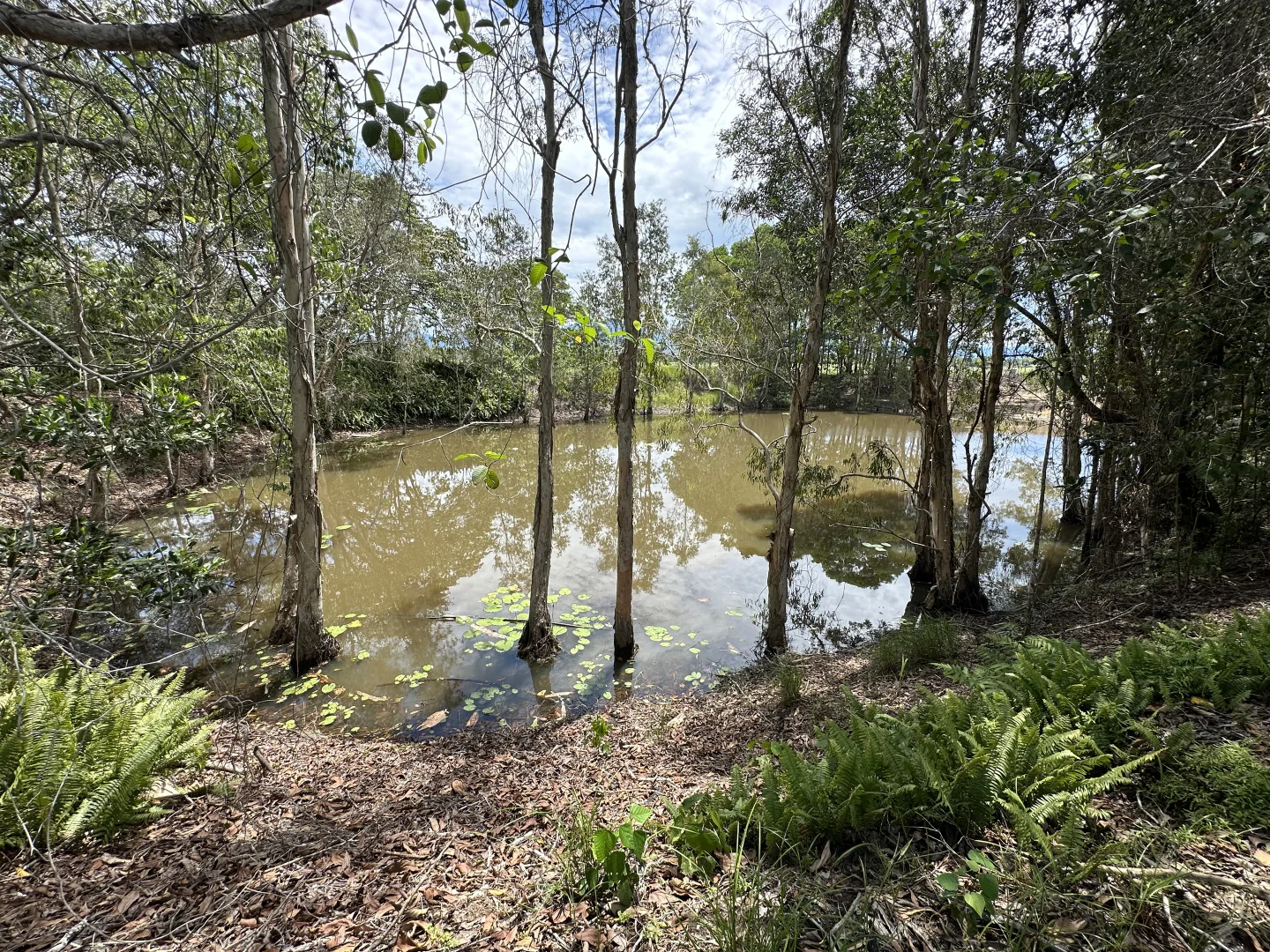 Image 10