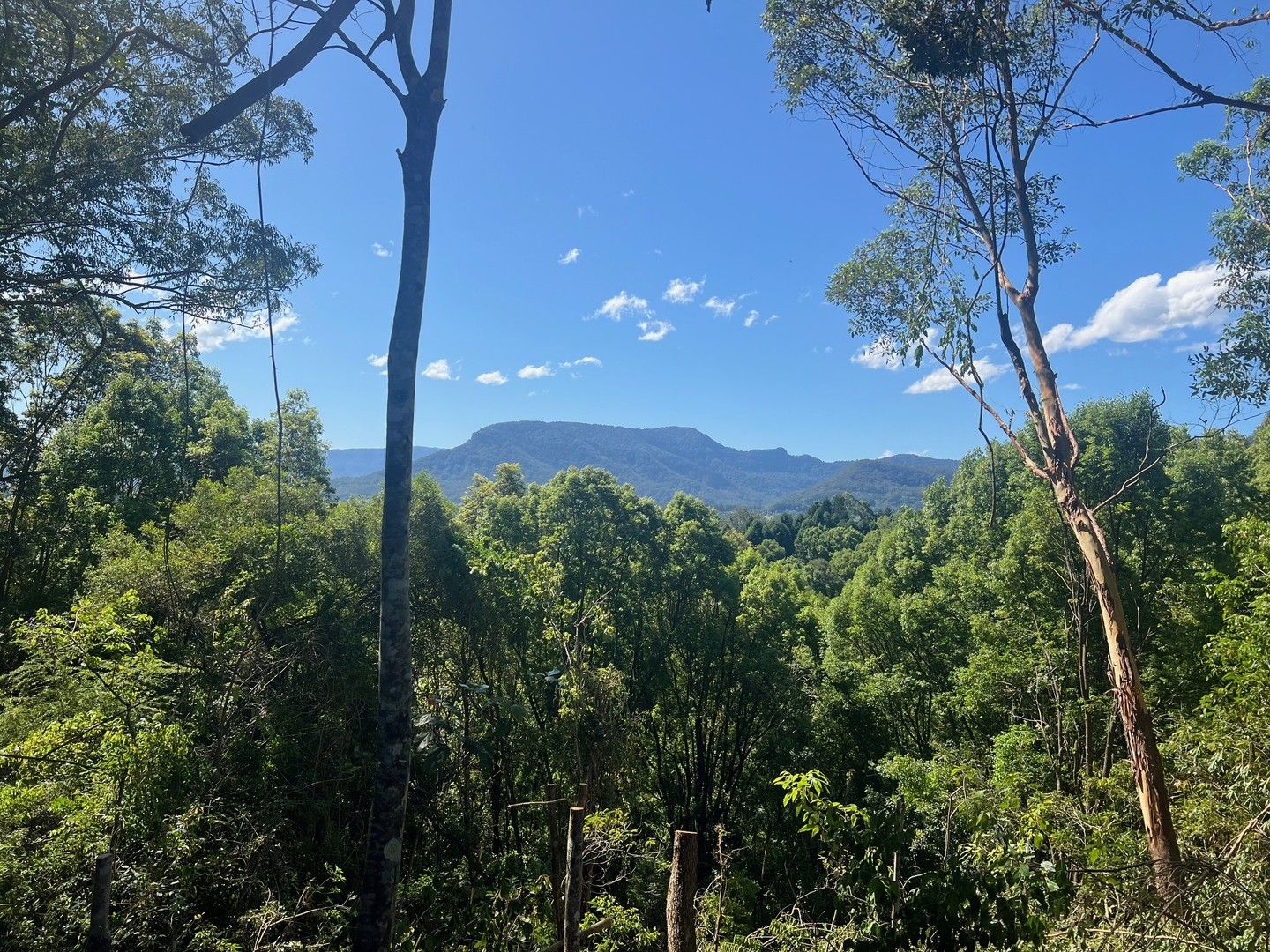 Vacant land in 8, 345 Tuntable Falls Road, NIMBIN NSW, 2480