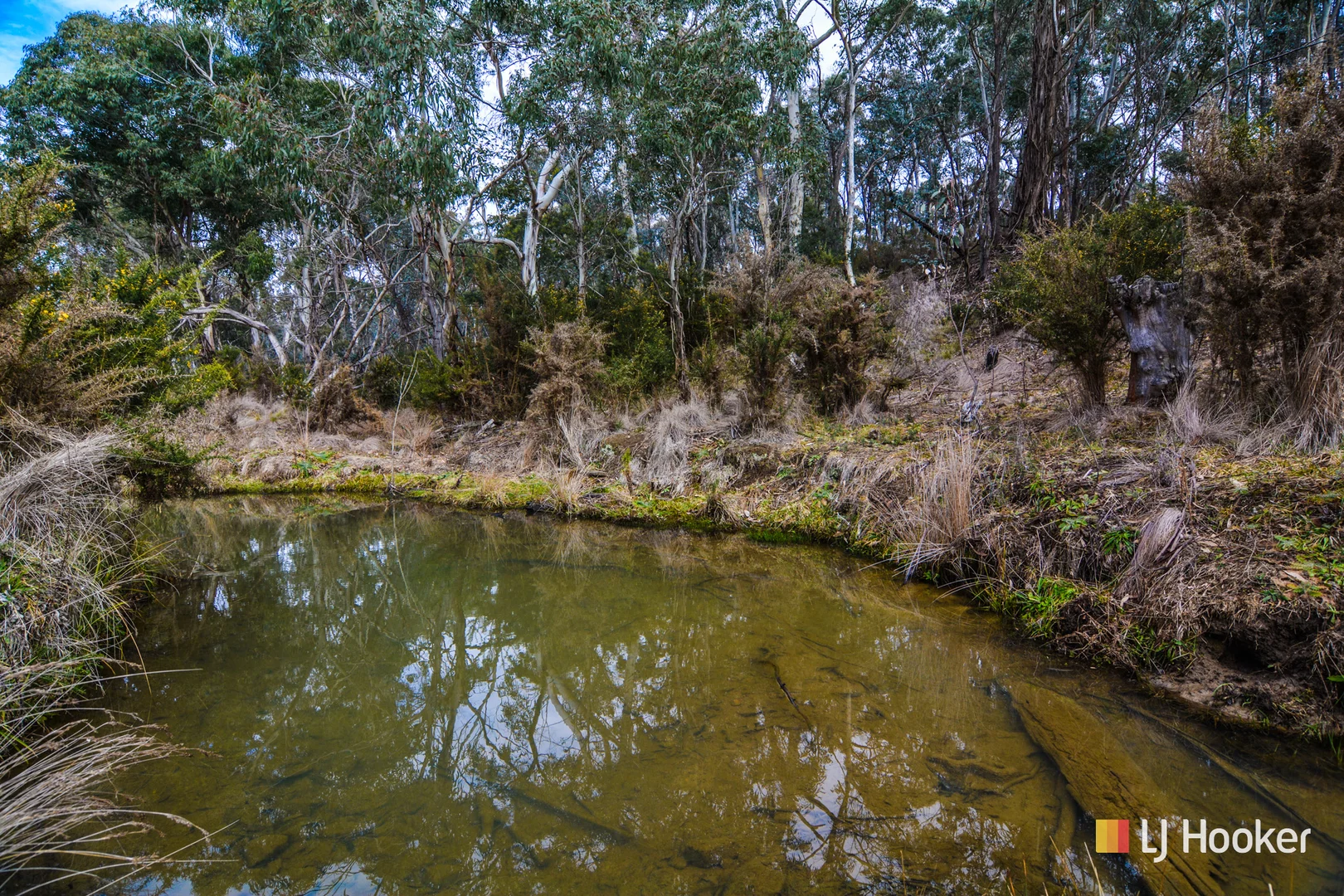 Image 15